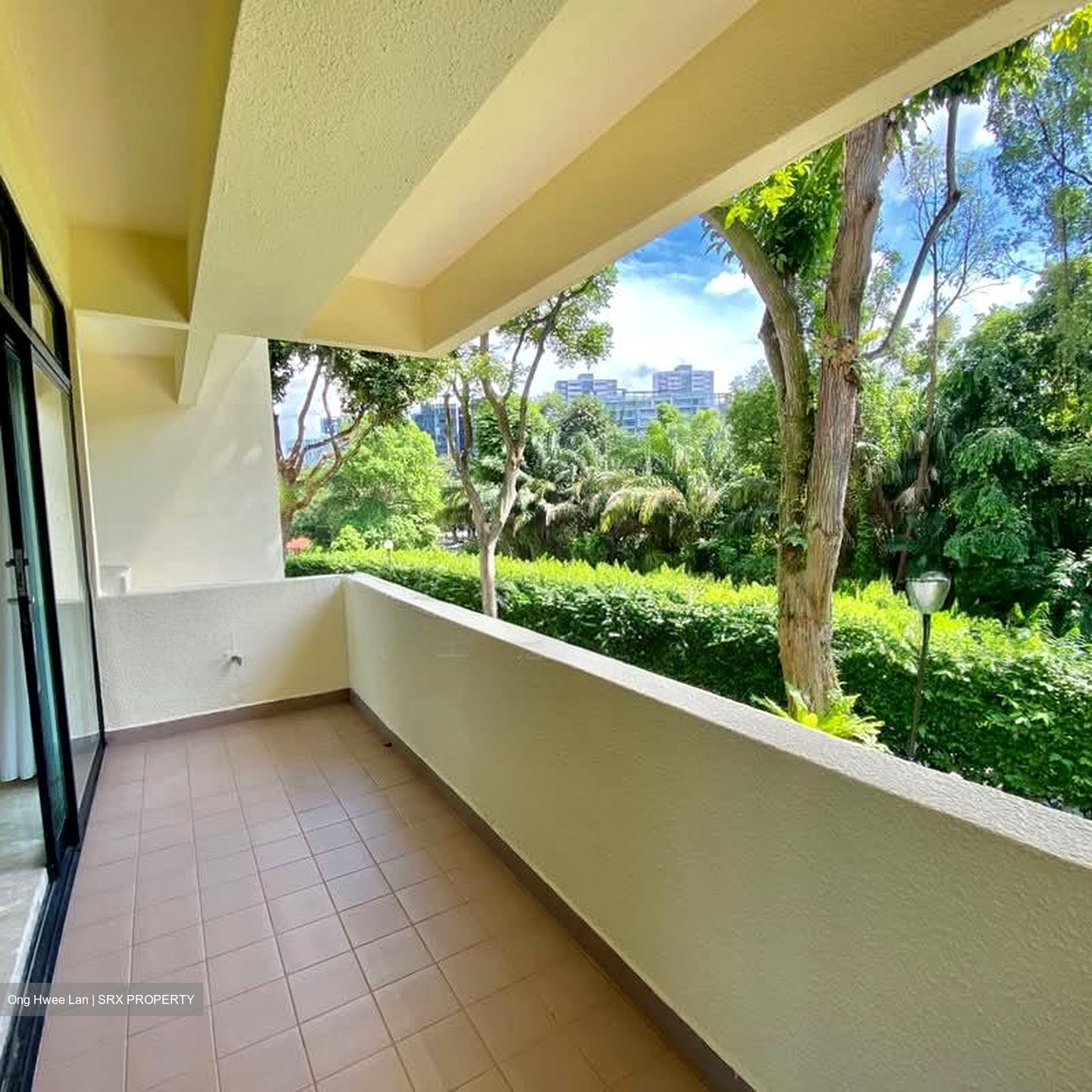 The Draycott (D10), Apartment #585403151